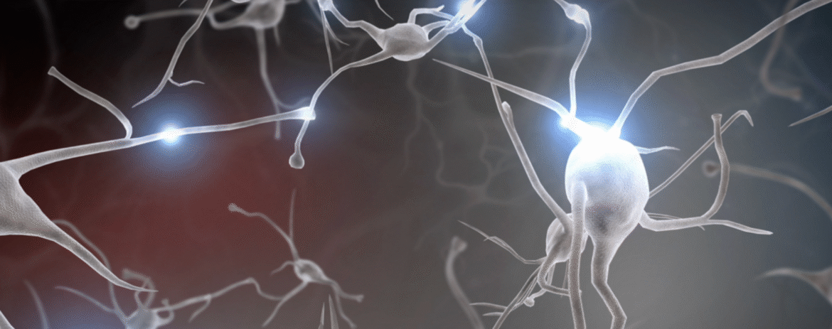 Neuroplasticity – The Art of a Self Evolving Mind